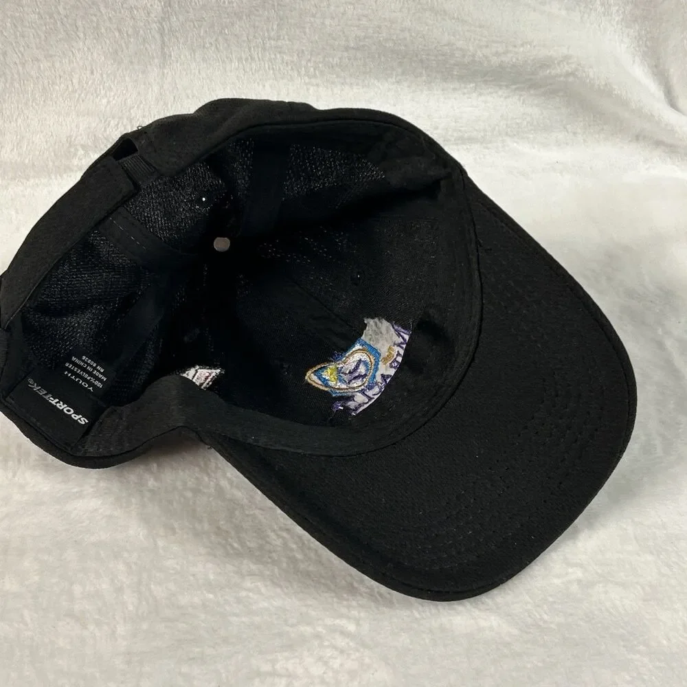 Timber Rattlers Miracle League Youth/Kids Hat Adjustable Ball Cap Baseball
